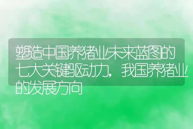 塑造中国养猪业未来蓝图的七大关键驱动力，我国养猪业的发展方向 | 家畜养殖
