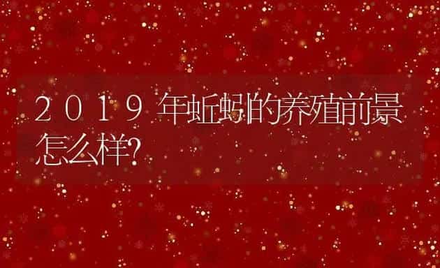 2019年蚯蚓的养殖前景怎么样? | 动物养殖百科