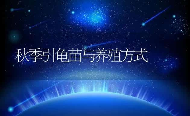 巧制饲料补维生素不足 | 动物养殖学堂