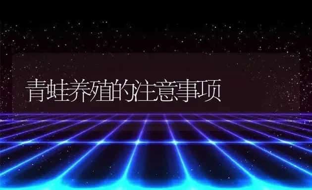 青蛙养殖的注意事项 | 动物养殖百科