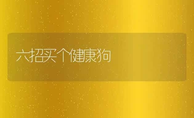 六招买个健康狗 | 宠物猫