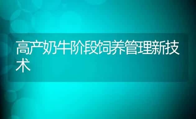 高产奶牛阶段饲养管理新技术 | 动物养殖学堂