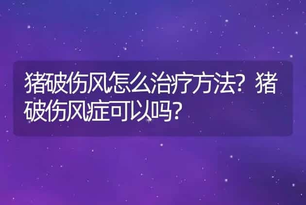 猪破伤风怎么治疗方法?猪破伤风症可以吗? | 兽医知识大全