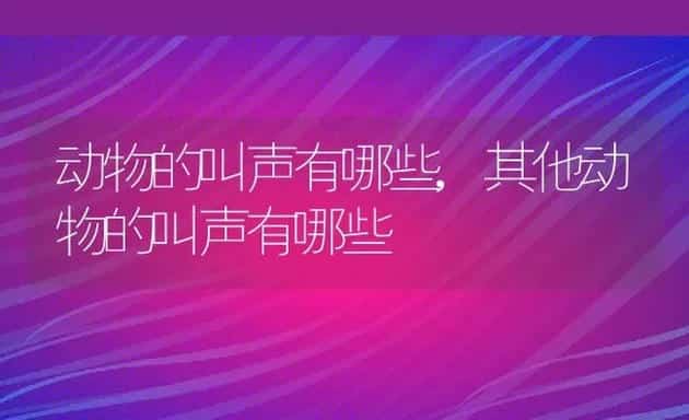 动物的叫声有哪些,其他动物的叫声有哪些 | 宠物百科知识