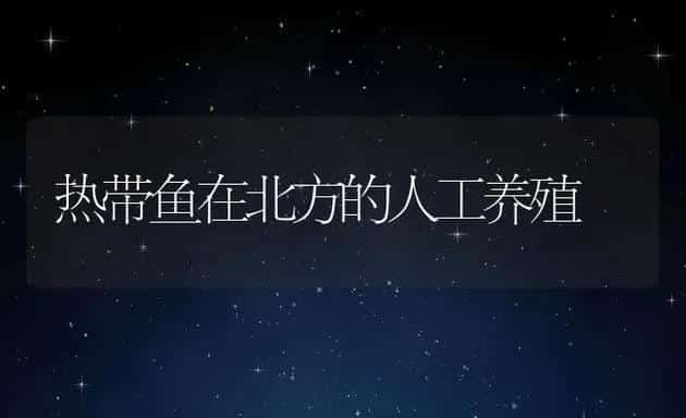 热带鱼在北方的人工养殖 | 动物养殖饲料