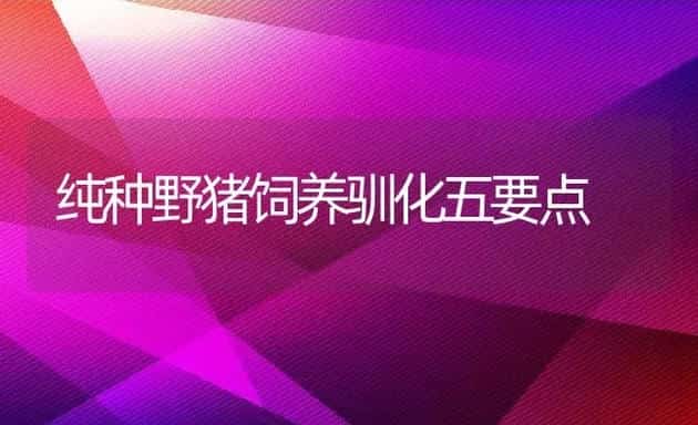 纯种野猪饲养驯化五要点 | 动物养殖百科