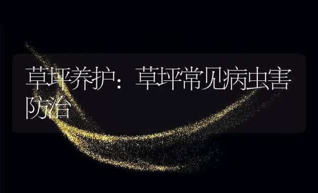 螃蟹人工育苗生产中的几项实用技术 | 海水养殖技术