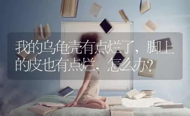 我的乌龟壳有点烂了，脚上的皮也有点烂，怎么办？ | 动物养殖问答