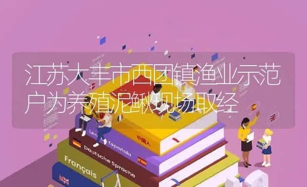 专家应对鳗病献计 | 动物养殖饲料