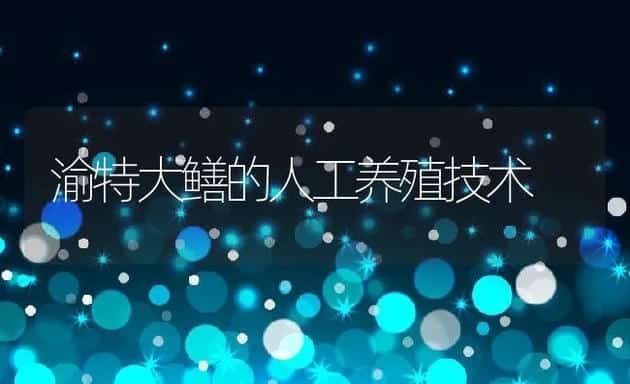 渝特大鳝的人工养殖技术 | 动物养殖学堂