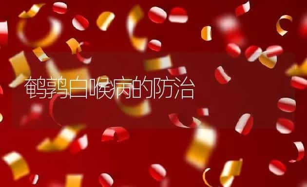 水貂尿结石发生原因及治疗措施 | 动物养殖学堂