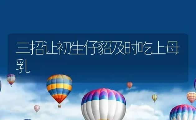 三招让初生仔貂及时吃上母乳 | 动物养殖百科