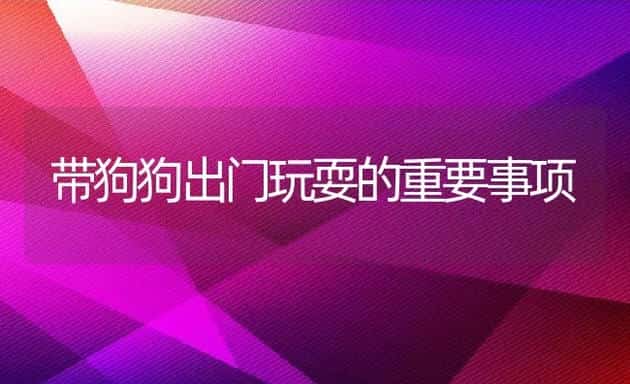 养好狗狗的技巧多 | 宠物猫