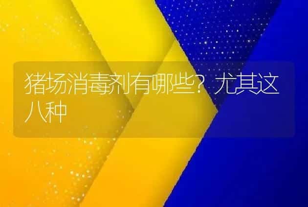 猪场消毒剂有哪些？尤其这八种 | 兽医知识大全