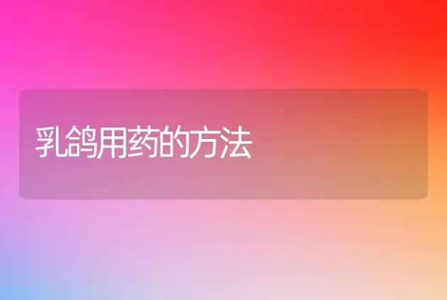 乳鸽用药的方法 | 家禽养殖