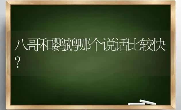 八哥和鹦鹉哪个说话比较快？ | 动物养殖问答