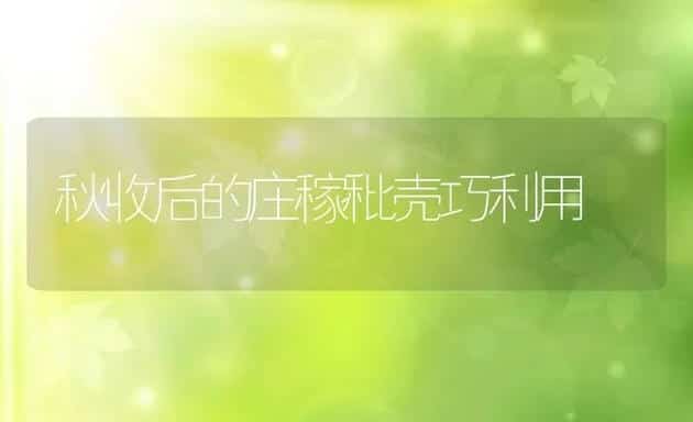 秋收后的庄稼秕壳巧利用 | 动物养殖学堂