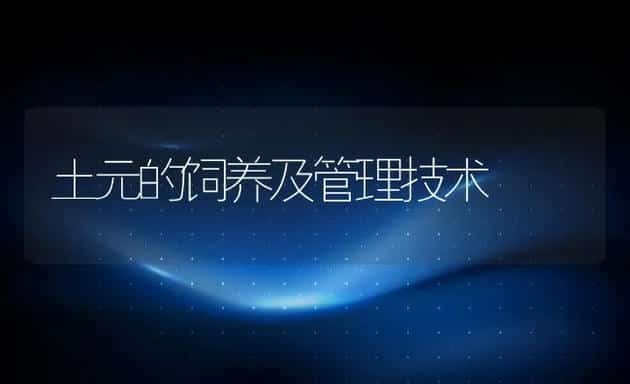 土元的饲养及管理技术 | 水产养殖知识
