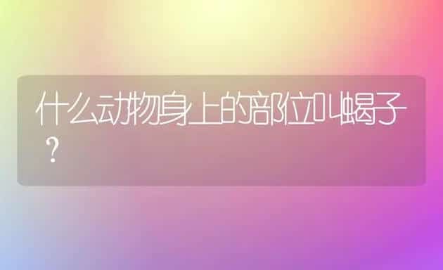 什么动物身上的部位叫蝎子？ | 动物养殖问答
