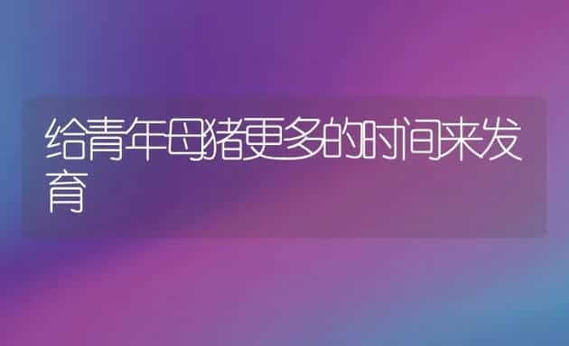 给青年母猪更多的时间来发育 | 动物养殖学堂