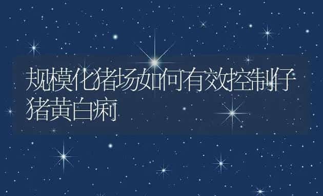 规模化猪场如何有效控制仔猪黄白痢 | 动物养殖学堂