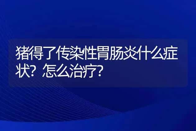 猪得了传染性胃肠炎什么症状？怎么治疗？ | 兽医知识大全