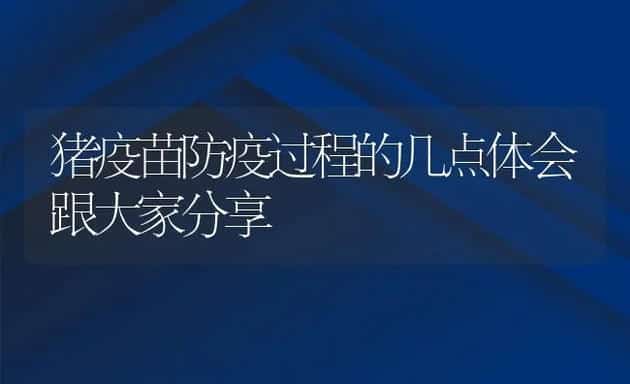 猪疫苗防疫过程的几点体会跟大家分享 | 动物养殖学堂
