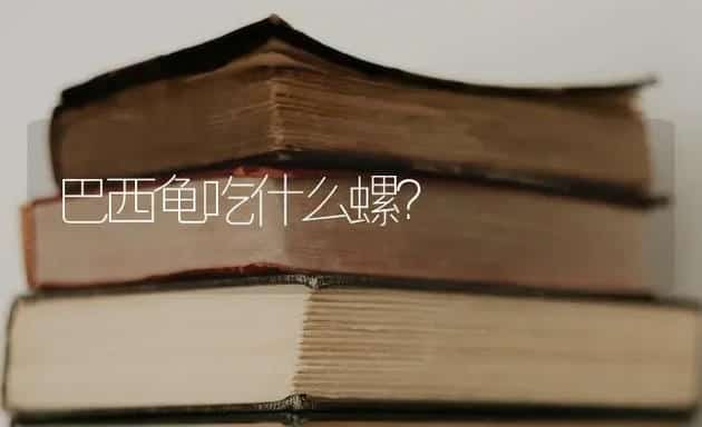 巴西龟吃什么螺？ | 动物养殖问答