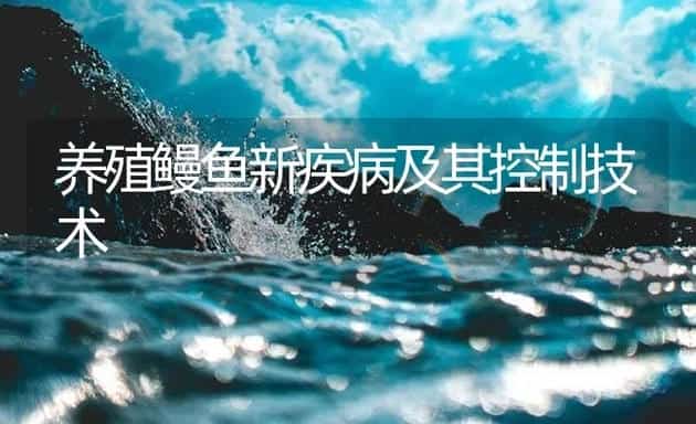 养殖鳗鱼新疾病及其控制技术 | 海水养殖技术