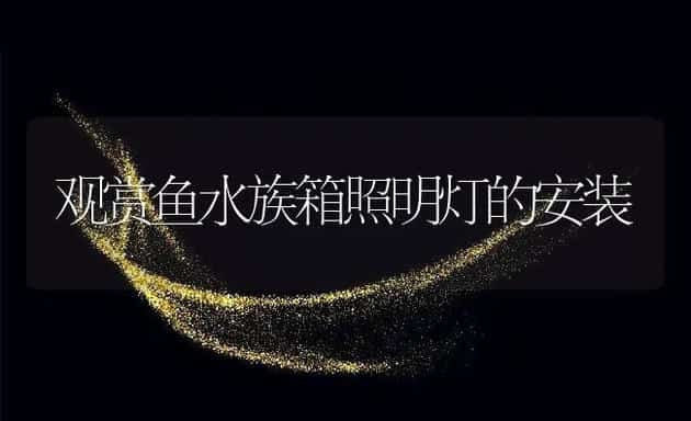 必须从哲学层面上总结养猪业的教训 | 动物养殖学堂
