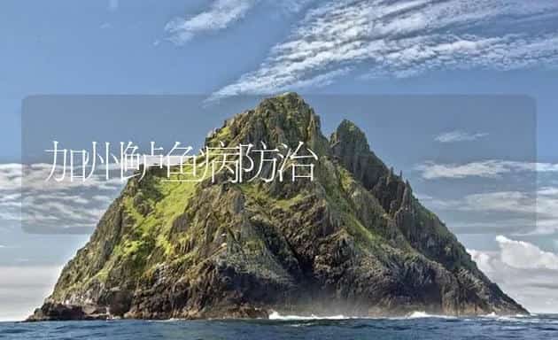 加州鲈鱼病防治 | 海水养殖技术