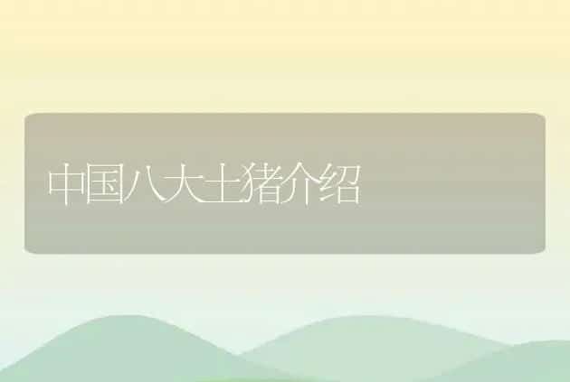 中国八大土猪介绍 | 家畜养殖