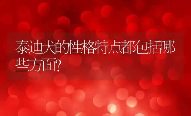 泰迪犬的性格特点都包括哪些方面？ | 宠物趣闻