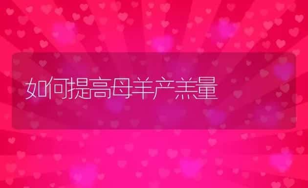 气候变化感冒猪增多注意防治方法 | 动物养殖学堂