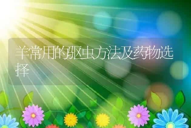 羊常用的驱虫方法及药物选择 | 家畜养殖