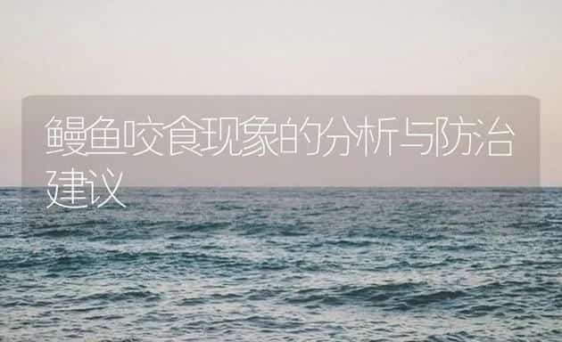 鳗鱼咬食现象的分析与防治建议 | 海水养殖技术