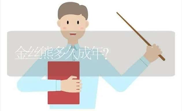 金丝熊多久成年？ | 动物养殖问答