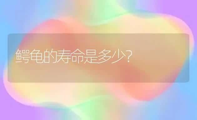 鳄龟的寿命是多少？ | 动物养殖问答