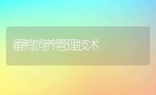 番鸭饲养管理技术 | 动物养殖学堂