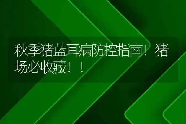 秋季猪蓝耳病防控指南!猪场必收藏!! | 兽医知识大全