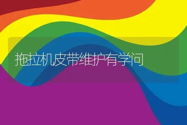 拖拉机皮带维护有学问 | 养殖
