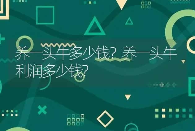 养一头牛多少钱？养一头牛利润多少钱? | 养殖致富