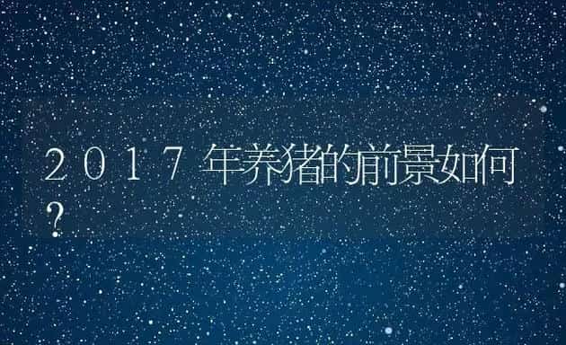 2017年养猪的前景如何? | 动物养殖百科