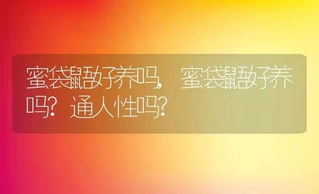 蜜袋鼯好养吗,蜜袋鼯好养吗?通人性吗? | 宠物百科知识
