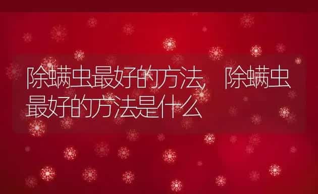 除螨虫最好的方法,除螨虫最好的方法是什么 | 宠物百科知识