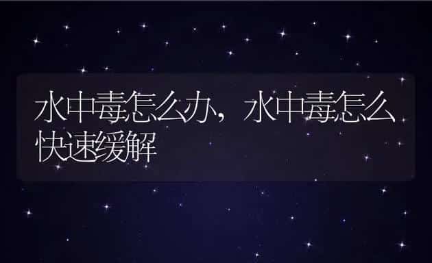 水中毒怎么办,水中毒怎么快速缓解 | 宠物百科知识