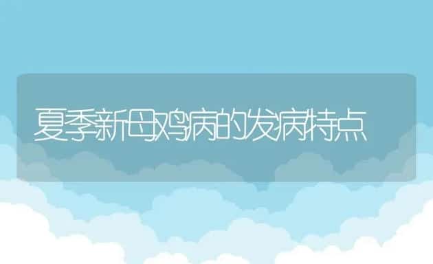 夏季新母鸡病的发病特点 | 动物养殖学堂