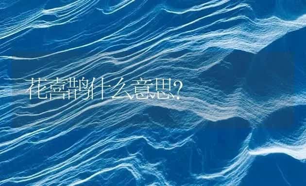 花喜鹊什么意思？ | 鱼类宠物饲养