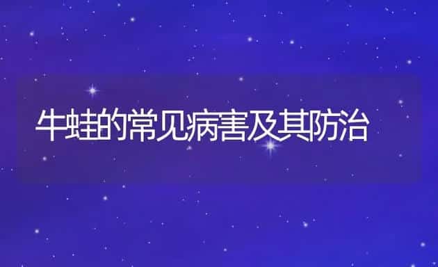 牛蛙的常见病害及其防治 | 动物养殖学堂
