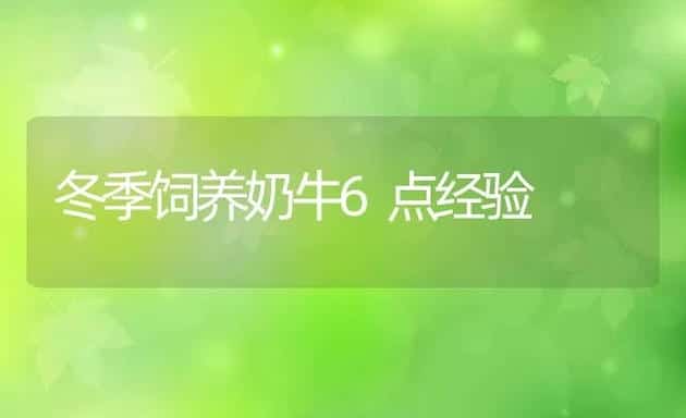 冬季饲养奶牛6点经验 | 动物养殖学堂